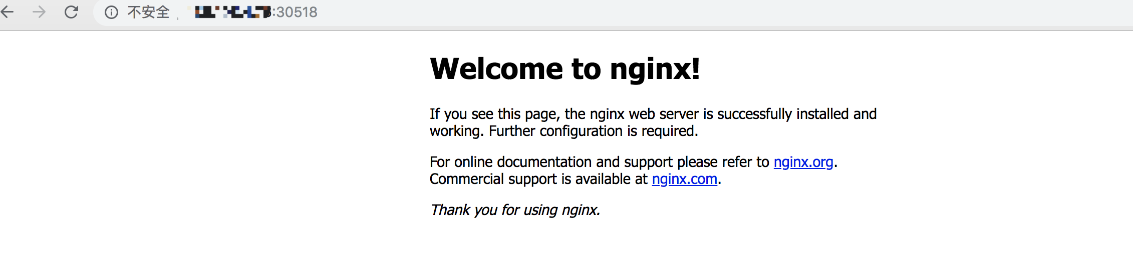 Access the Nginx service